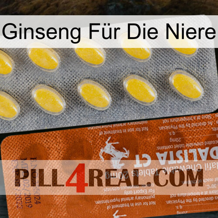 Ginseng Für Die Niere 42